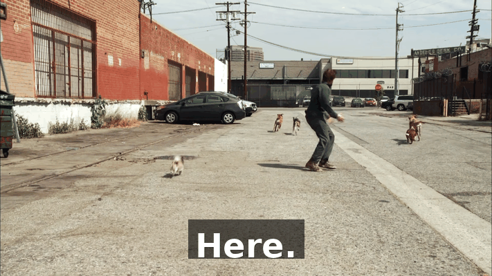9e70f2bb-60b1-48b0-b89e-121fa8e179ed.gif