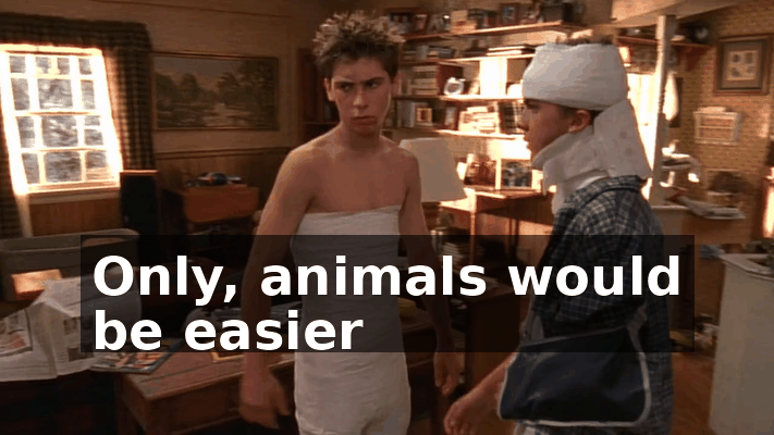 03ca038d-11c5-4eee-83ce-14a96b461bd5.gif