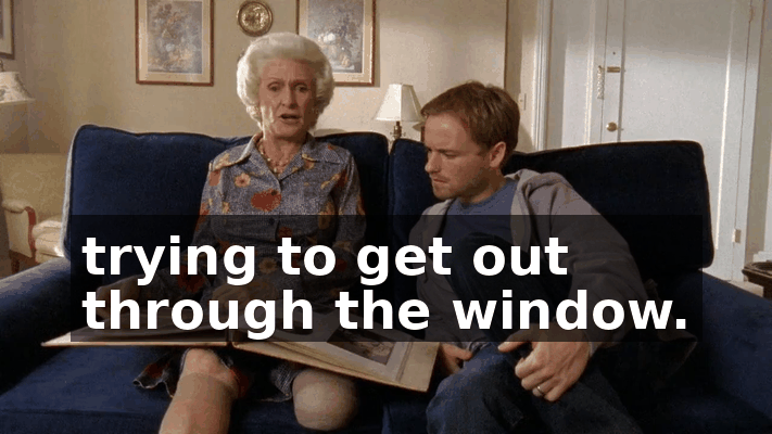 29f00562-86ba-4cb9-9c52-0a5bc5145547.gif