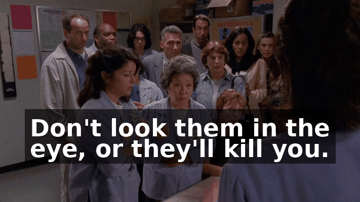 dae7e596-12ce-482c-934a-404b776f3fc7.gif