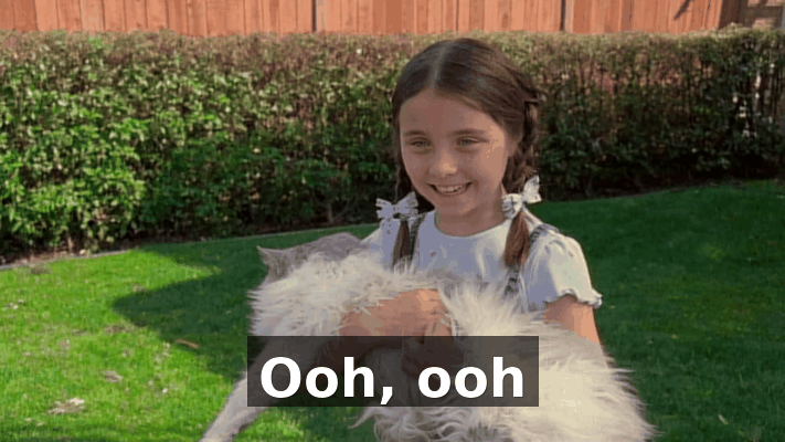 b13786fa-7979-4b1a-9c69-f061a0747672.gif