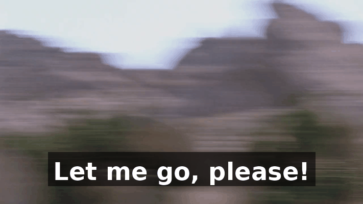 99a527d5-7712-4722-9044-5624d1d63036.gif