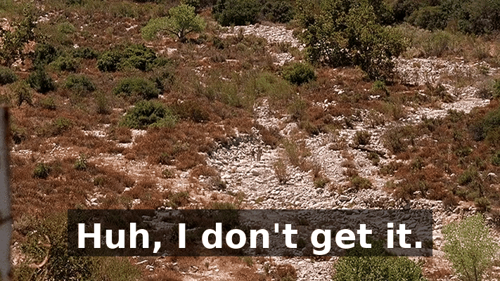9e279436-1caf-4cc2-bd42-fa3b8230019c.gif