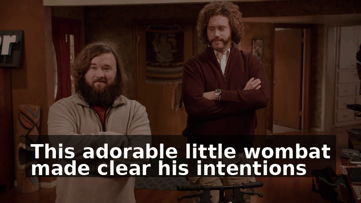 7d9f95e7-6e6c-458d-9b4c-3040ec60d6e1.gif