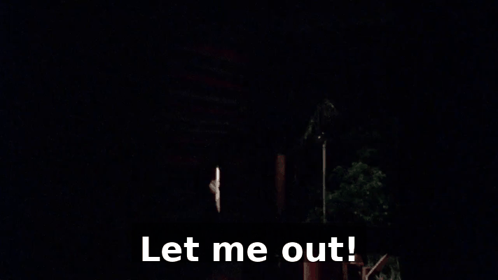 15799d00-c6dd-436f-bf4e-ea09a9b7b0df.gif