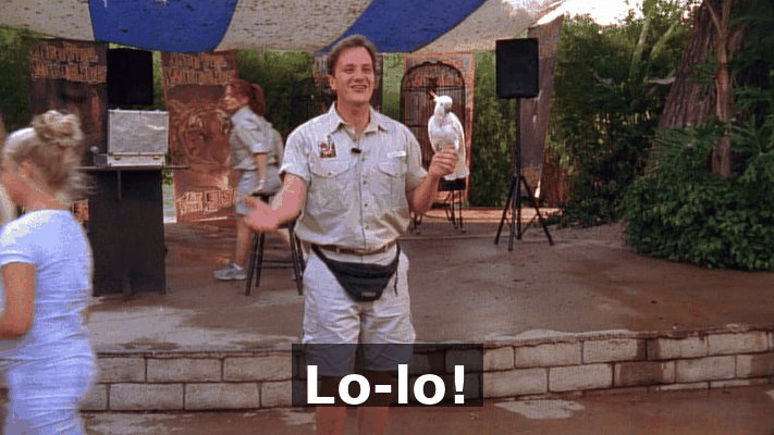 d3a5cd41-05b8-43c5-bb2f-1659e9188c7d.gif