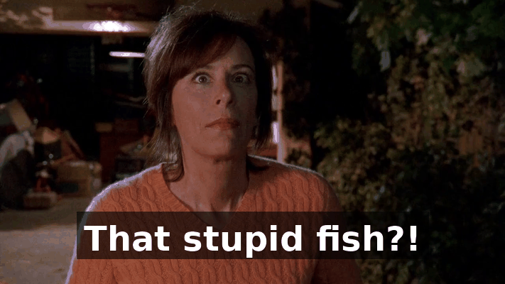 3c0e99af-01e1-4b01-8f79-9e50d5d54331.gif