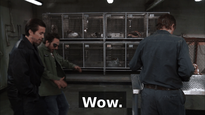 ca157918-f04c-4d89-839e-6a9ea15c45d0.gif