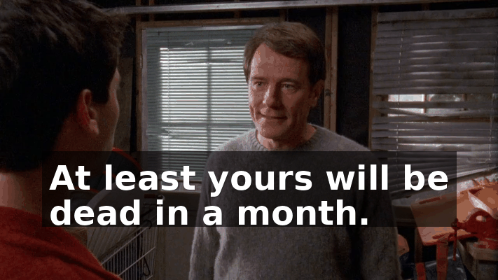 ebbb8886-e663-41b4-996d-39d260637370.gif