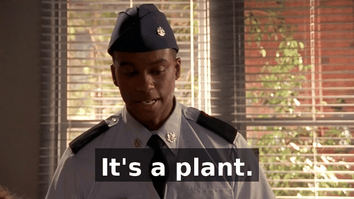 cc6d0c24-c343-4202-a1dc-422e91d69698.gif