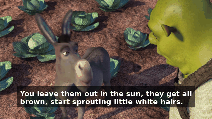 835c3b5a-d891-4036-82da-d4c0eb749832.gif
