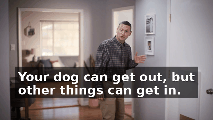293ede17-ea6d-48b7-8833-dfb4a404933b.gif