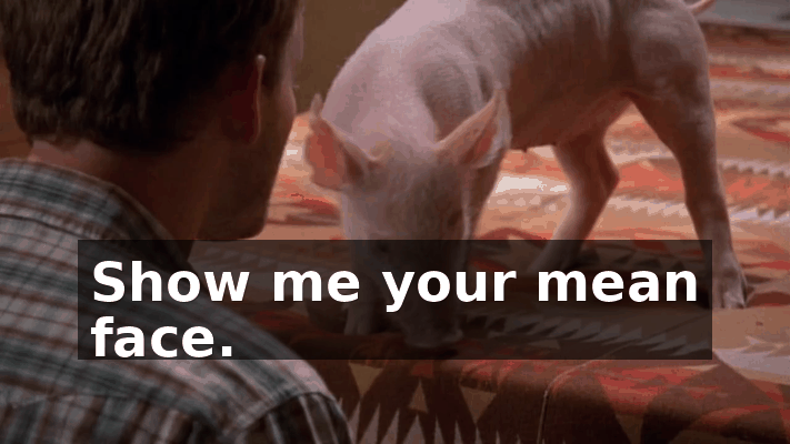 477da511-6a2f-4e30-a3e4-e20b4db95c70.gif