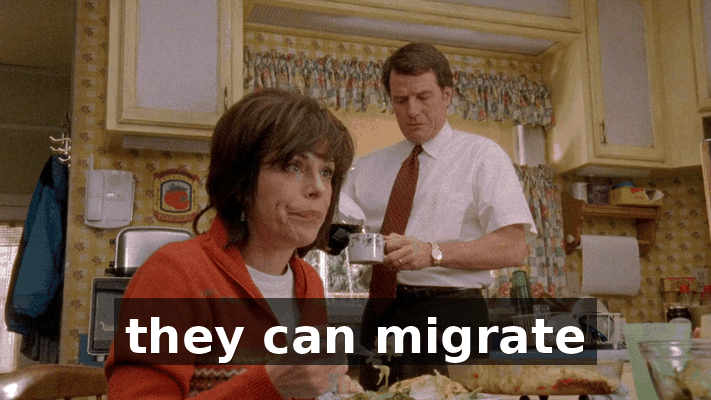 cf4bfee2-5160-41d2-8763-dca727b69644.gif