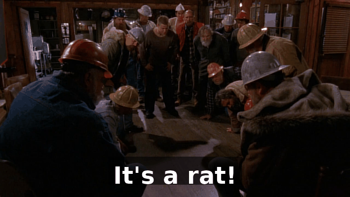 750e60d6-3956-4e95-9632-27c13f00656e.gif