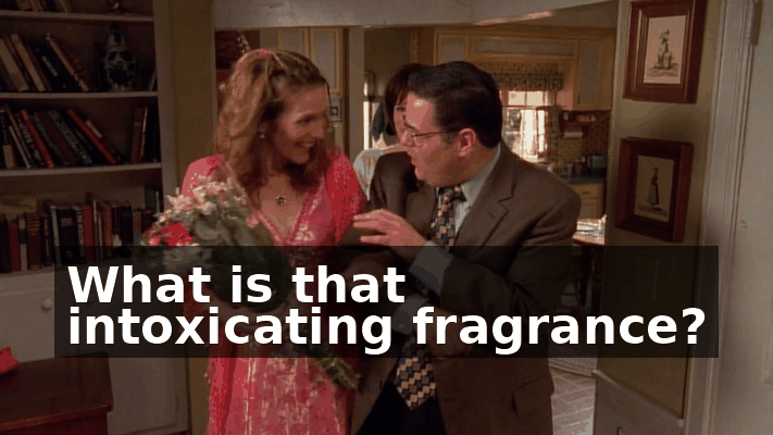 2feb4b4b-5793-4754-955e-1e653abbafbb.gif