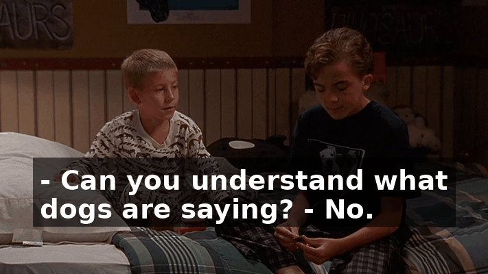 5c05c4b7-c0fe-42fc-b820-595d895e8d8e.gif