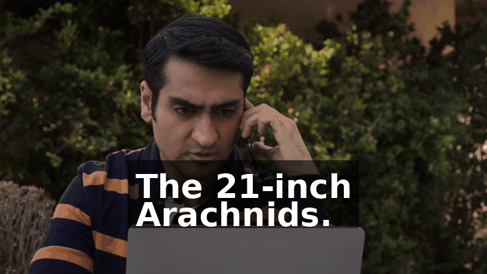 a64b7558-23ab-430d-b0b8-81b5374b2e05.gif