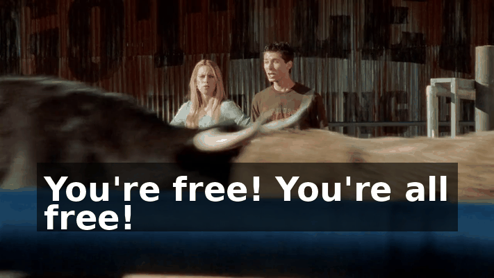 76fd8343-625c-4b25-88c8-7f914715b89d.gif