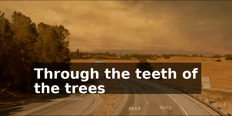 a4348c9c-4ce5-4a54-a531-a40ae9e96437.gif