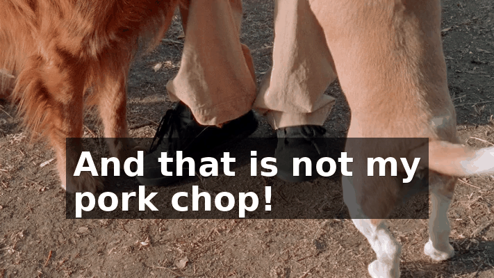 5c812f5b-654c-4894-b499-b5a8870ff45a.gif