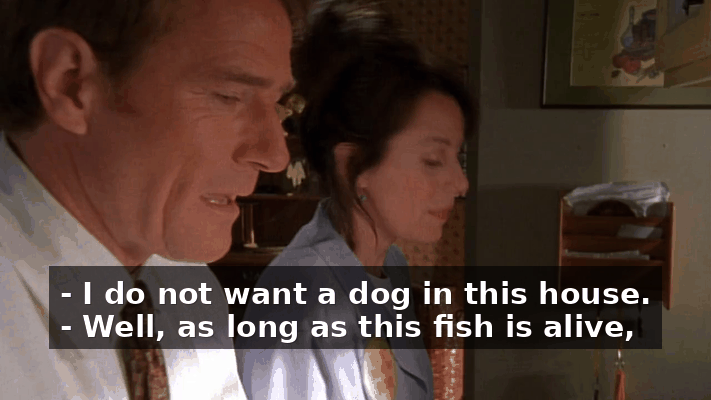 fb99ac73-5d0b-4168-8f86-43256a653332.gif