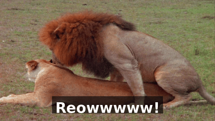 326f23e4-78b3-474e-9835-7b93f20f0e72.gif