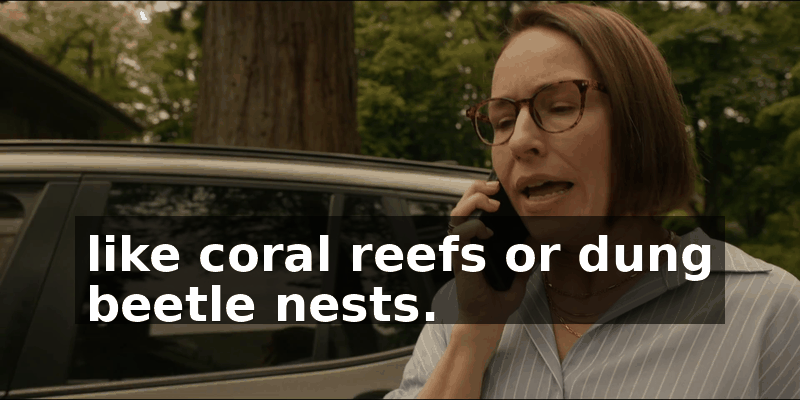 e8cb9231-b322-4abd-98cb-2ac750364ed1.gif