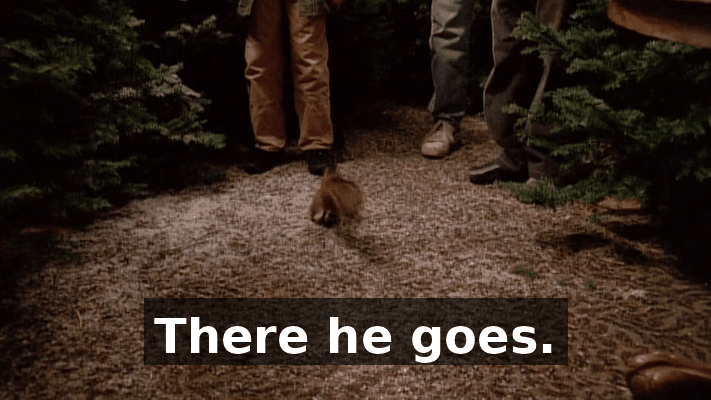 a3111ef4-673a-4c5e-ad77-735a19301772.gif