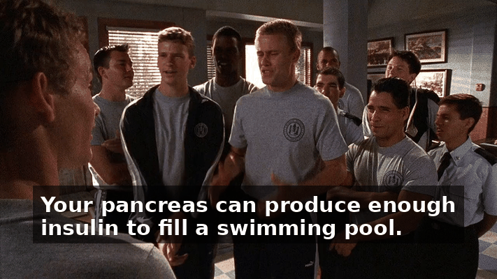 18319310-16a2-40dc-82ea-eb12c19849e0.gif