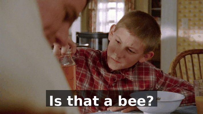 3b184f7e-8178-41ce-bda4-9bbf1fe9efc2.gif