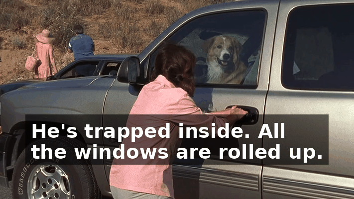 652faf7a-68b4-4a77-8c2f-35dbb676a789.gif