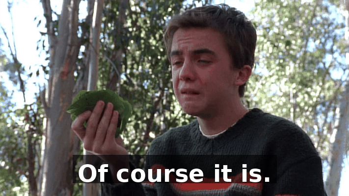 5ea51be1-d040-4473-9773-dbc79b3dca64.gif