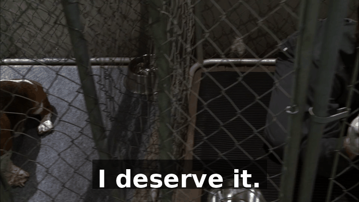 604e2822-84c7-4550-9b4b-ea4537aeae85.gif