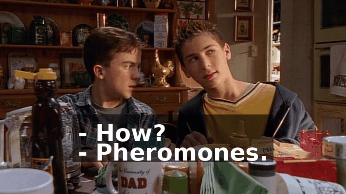 a888e1be-d209-44ac-a2dc-7ca5c4c8b2b4.gif