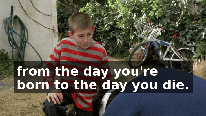 28aaf928-4057-44de-a102-a17186df699a.gif