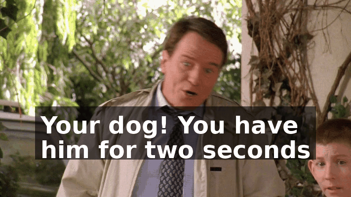cebfe75b-8d82-4a6e-9253-35f4fc6959ee.gif