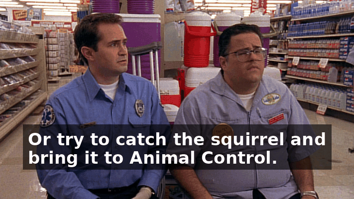 724af044-1b0d-4bd7-8e10-cc824fa9d788.gif