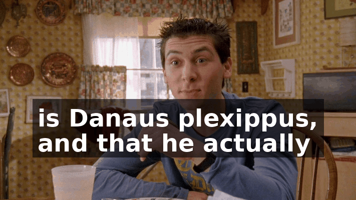 530d5f70-b9bd-4931-a267-66a7f027c18c.gif