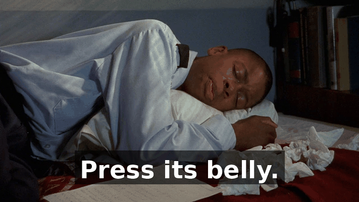 718fae0c-aec1-47b4-8397-83c8163431fd.gif