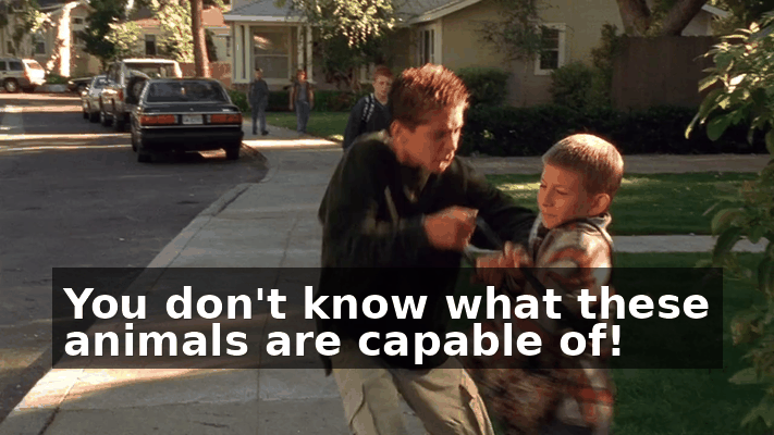 1280c8b8-fa04-484c-b4e1-8e618c931f99.gif