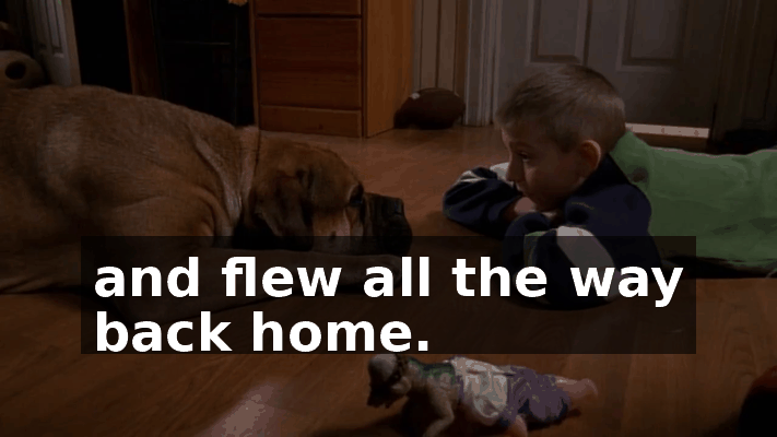 bc3409f0-2ef8-450f-ae46-7182f84e0206.gif