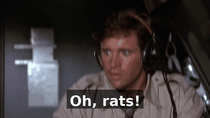 d1dd0ec8-529e-4c71-9aca-3c38c7a1dad2.gif