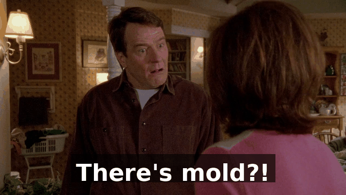 1971ff0a-88d4-4572-b270-6a16400e0e41.gif