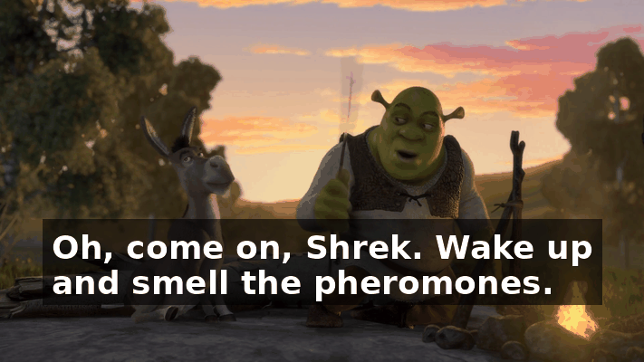 eb13297c-a971-46ce-b06c-3829e789d37e.gif
