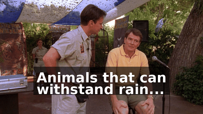 98b43481-6831-409e-8dc0-a1ca0fddb1a8.gif