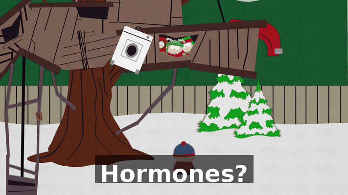 54ff7235-e107-4aa3-956f-6e837321bc09.gif