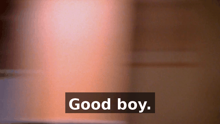 0803ea7e-5aa6-4995-ac69-bb0359b3103d.gif
