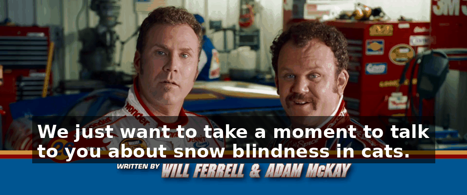 1013c53e-c317-4d0e-a320-46107f007960.gif