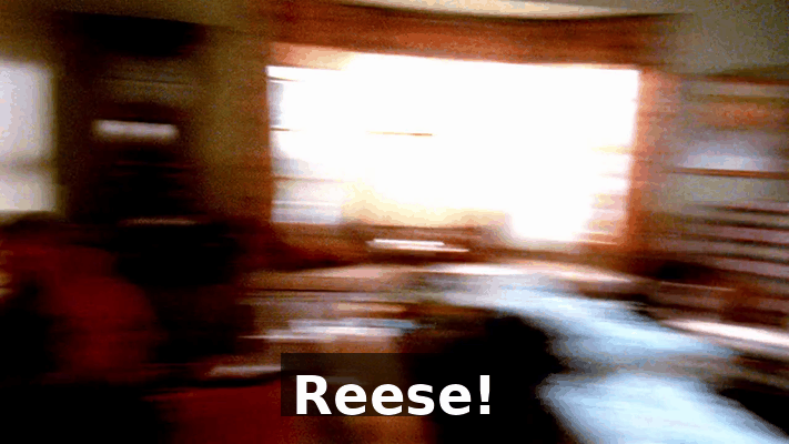 9f5c7b97-9bbc-4c19-968b-1bd366078405.gif
